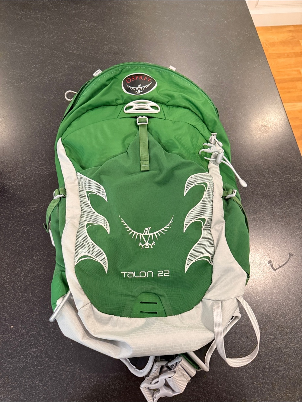OSPREY Green and Light Gray Talon 22 Daypack